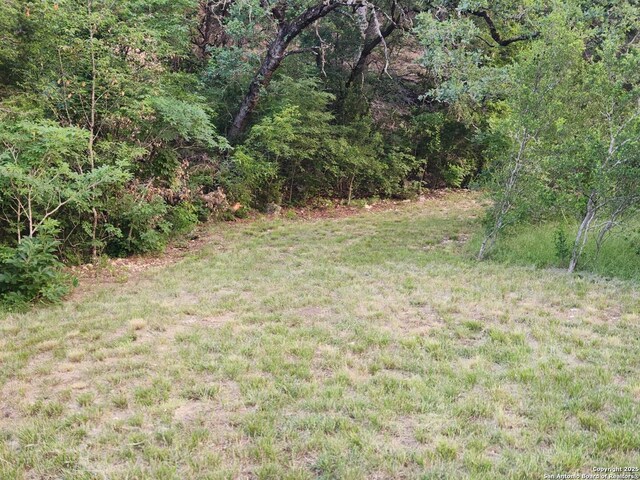 1047 Seco Pass Rd, Tarpley, TX 78883