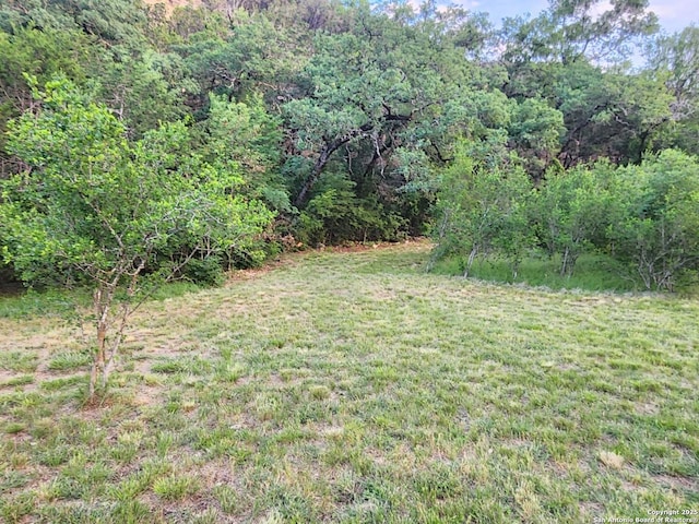 1047 Seco Pass Rd, Tarpley, TX 78883