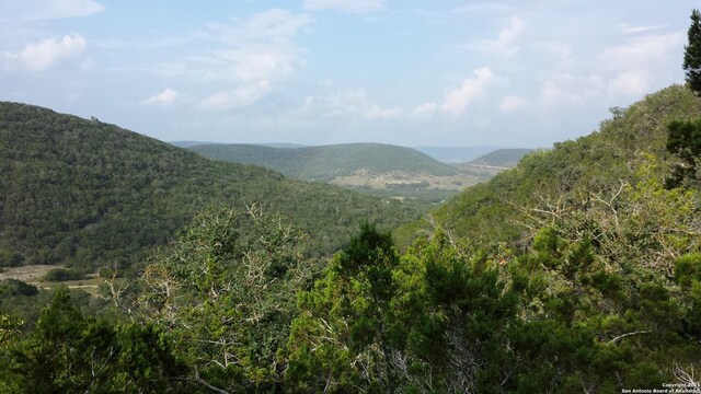 1047 Seco Pass Rd, Tarpley, TX 78883