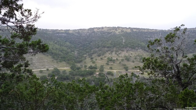 1047 Seco Pass Rd, Tarpley, TX 78883
