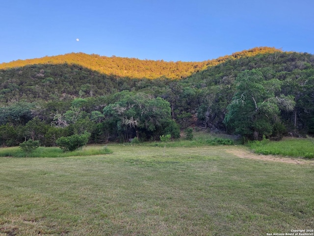 1047 Seco Pass Rd, Tarpley, TX 78883