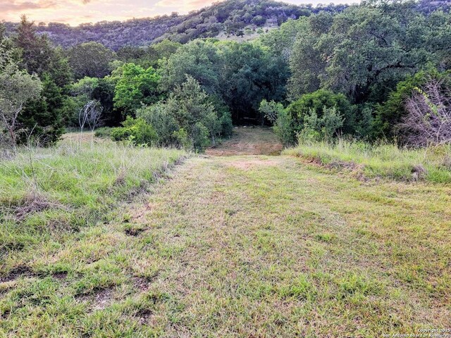 1047 Seco Pass Rd, Tarpley, TX 78883