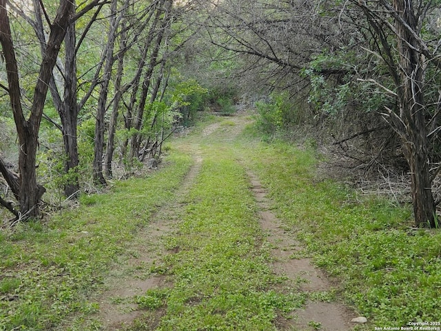 1047 Seco Pass Rd, Tarpley, TX 78883