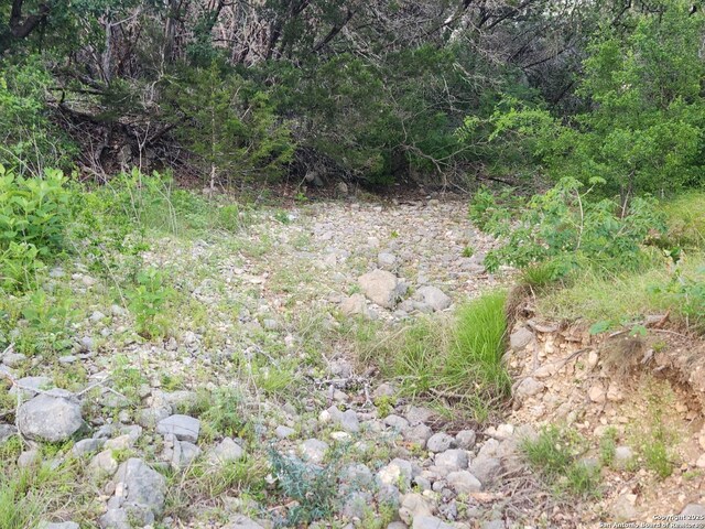 1047 Seco Pass Rd, Tarpley, TX 78883