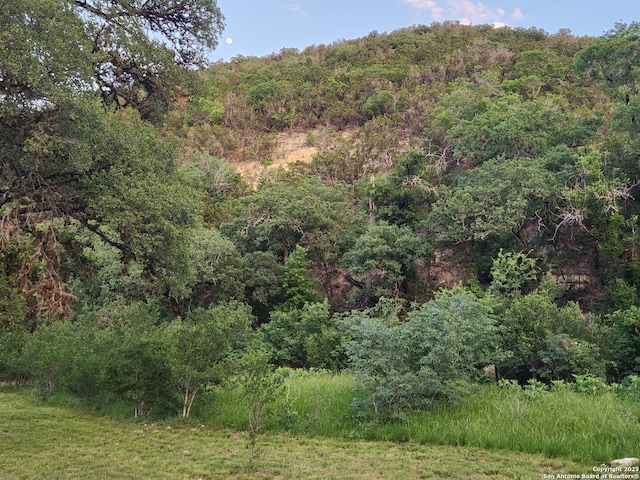 1047 Seco Pass Rd, Tarpley, TX 78883