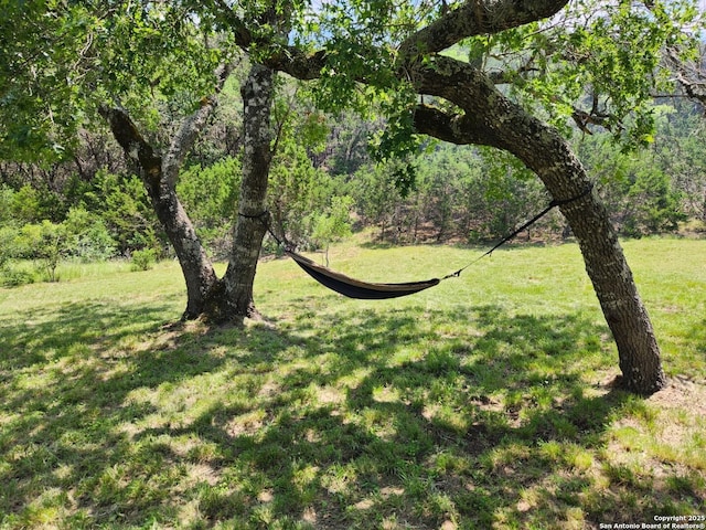 1047 Seco Pass Rd, Tarpley, TX 78883