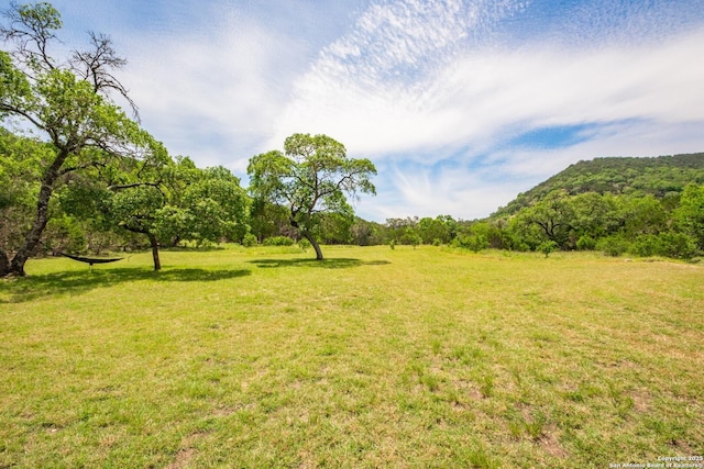 1047 Seco Pass Rd, Tarpley, TX 78883