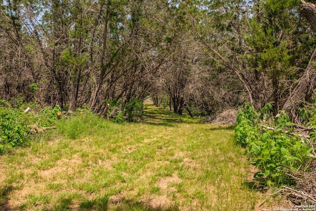 1047 Seco Pass Rd, Tarpley, TX 78883