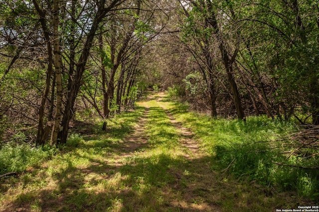 1047 Seco Pass Rd, Tarpley, TX 78883