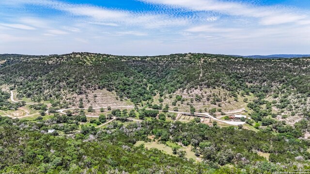 1047 Seco Pass Rd, Tarpley, TX 78883
