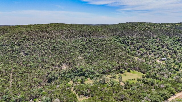 1047 Seco Pass Rd, Tarpley, TX 78883