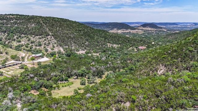 1047 Seco Pass Rd, Tarpley, TX 78883