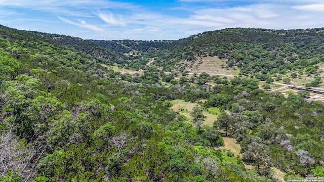 1047 Seco Pass Rd, Tarpley, TX 78883