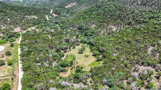 1047 Seco Pass Rd, Tarpley, TX 78883