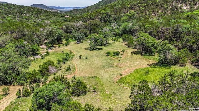 1047 Seco Pass Rd, Tarpley, TX 78883