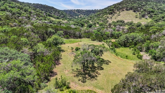 1047 Seco Pass Rd, Tarpley, TX 78883