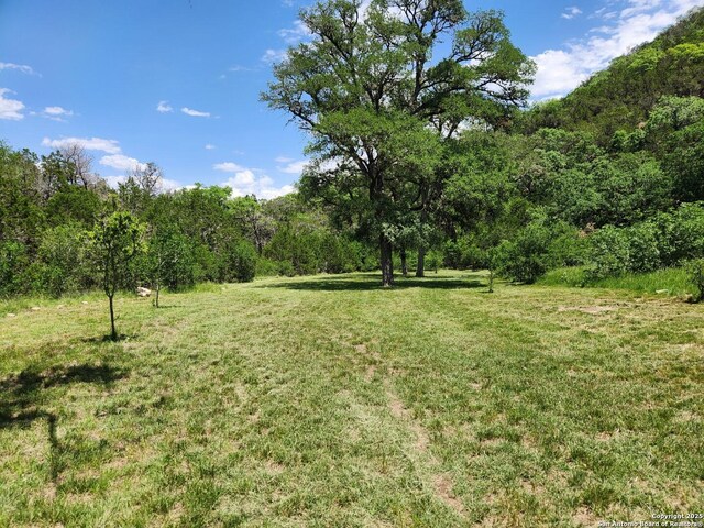 1047 Seco Pass Rd, Tarpley, TX 78883