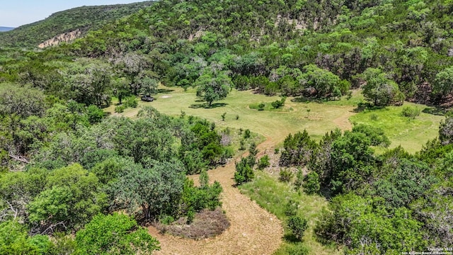 1047 Seco Pass Rd, Tarpley, TX 78883