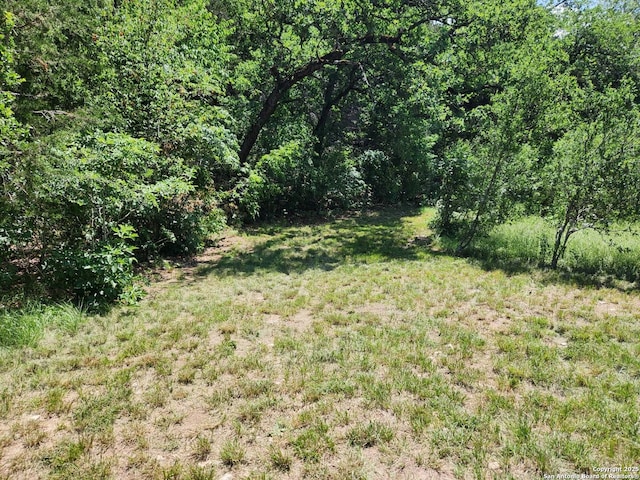 1047 Seco Pass Rd, Tarpley, TX 78883