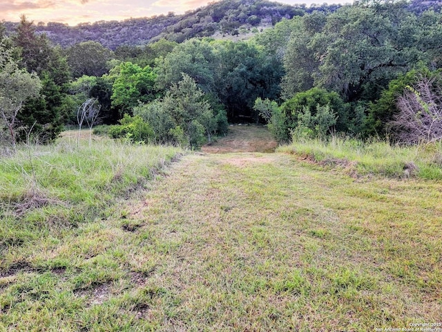 1047 Seco Pass Rd, Tarpley, TX 78883