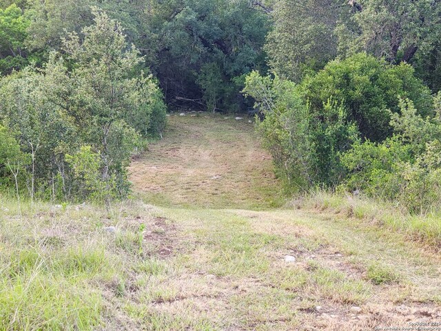 1047 Seco Pass Rd, Tarpley, TX 78883