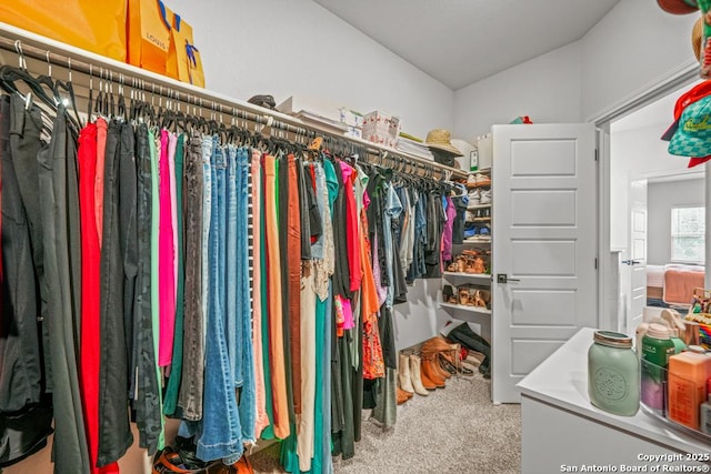 25826 Marigold Oaks, Boerne, TX 78006 - walk in closet with carpet flooring