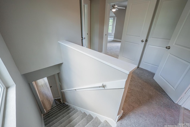 312 Avondale, San Antonio, TX 78223 - stairs featuring carpet, ceiling fan, and baseboards