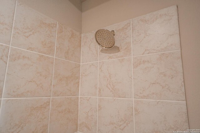 312 Avondale, San Antonio, TX 78223 - bathroom view of tiled shower