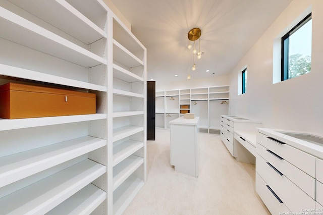 1356 Capitare, New Braunfels, TX 78132 - spacious closet featuring light carpet