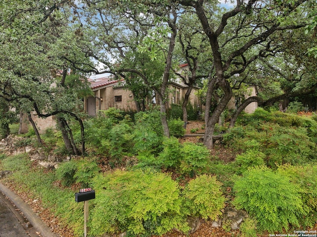 11400 Mission Trce, San Antonio, TX 78230 - view of yard