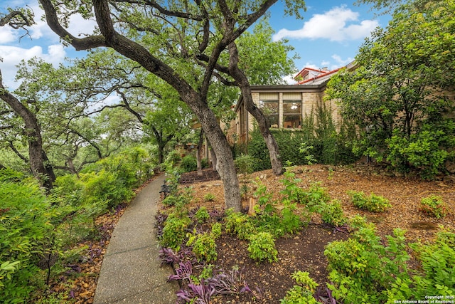 11400 Mission Trce, San Antonio, TX 78230 - view of yard