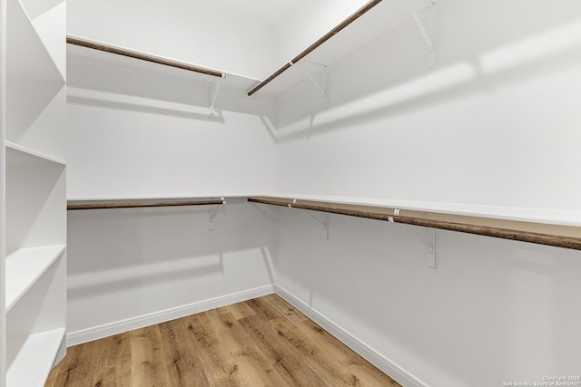 503 Linden, San Antonio, TX 78211 - walk in closet featuring light wood-style floors