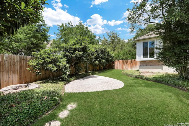 4635 Shavano Birch, San Antonio, TX 78230 - view of yard
