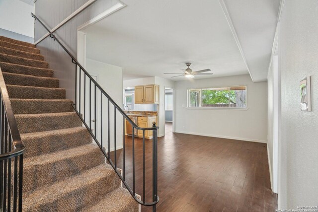 427 Indigo, San Antonio, TX 78216 - stairway with ceiling fan, wood finished floors, and baseboards