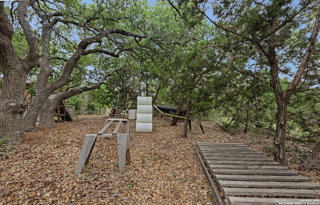 2219 Clubs Dr, Boerne, TX 78006 - view of surrounding community