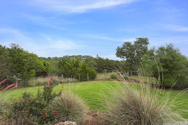 2219 Clubs Dr, Boerne, TX 78006 - view of yard
