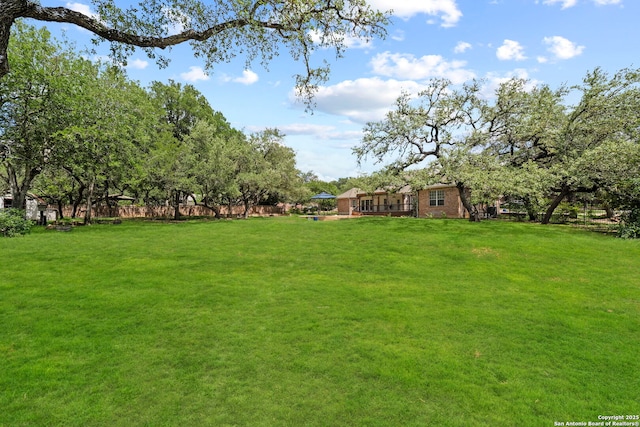 9403 Gardenia Bnd, San Antonio, TX 78266 - view of green lawn