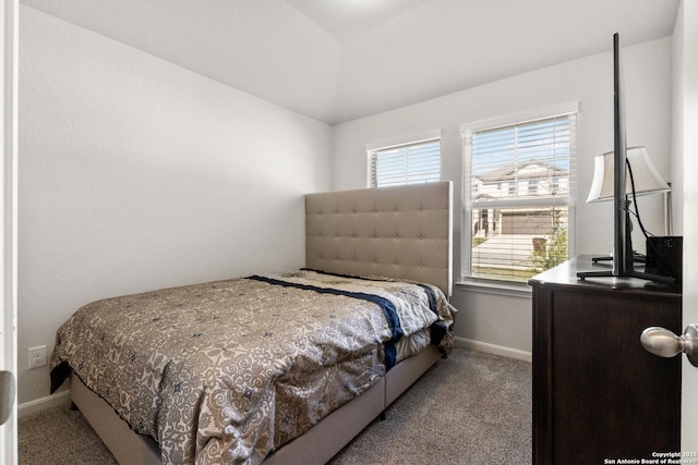 4540 Appaloosa, San Antonio, TX 78245 - bedroom featuring carpet and baseboards