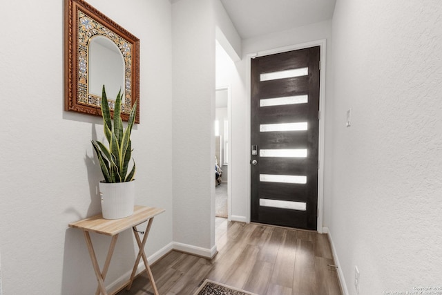 4540 Appaloosa, San Antonio, TX 78245 - entrance foyer featuring wood finished floors, baseboards, and a textured wall