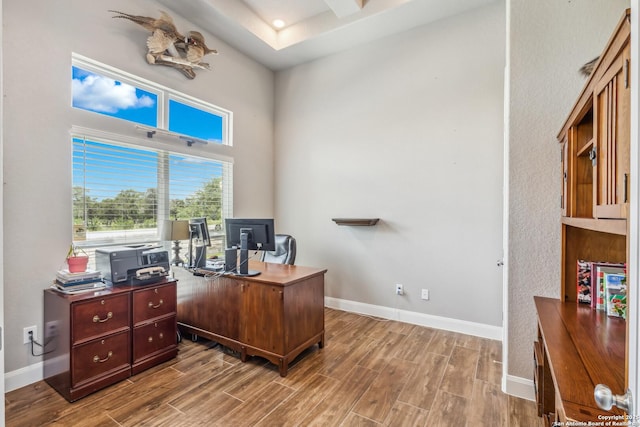 2319 Cascada, Spring Branch, TX 78070 - office with wood finished floors, baseboards, and a towering ceiling