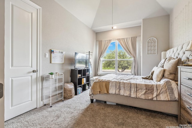2319 Cascada, Spring Branch, TX 78070 - carpeted bedroom featuring lofted ceiling