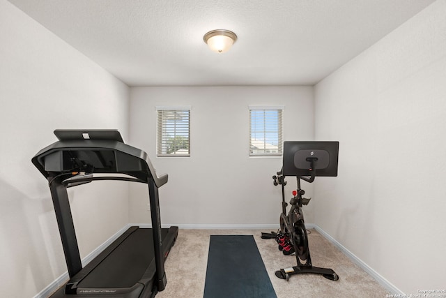 10227 Amaryllis, Boerne, TX 78006 - workout room with light carpet and baseboards