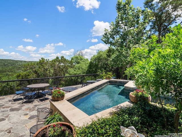 21214 W Tejas Trl, San Antonio, TX 78257 - outdoor pool featuring a patio, outdoor dining space, and a view of trees
