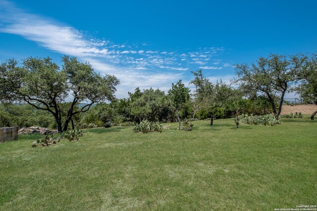 25838 Echo Mtn, San Antonio, TX 78260 - view of grassy yard