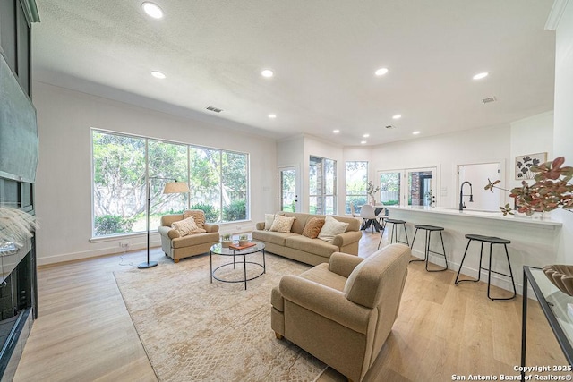 17338 Fountain Mist, San Antonio, TX 78248 - living room with light wood-style flooring, recessed lighting, a fireplace, and baseboards