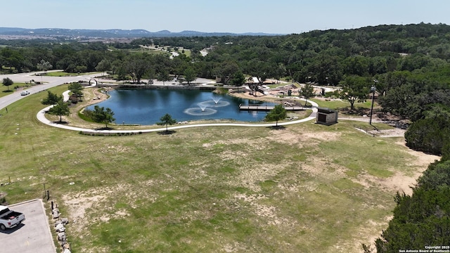 31575 Meander, Bulverde, TX 78163 - bird's eye view of a nearby body of water and a heavily wooded area