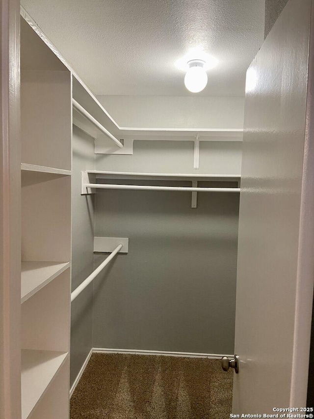 4803 Hamilton Wolfe Rd, San Antonio, TX 78229 - spacious closet featuring carpet floors