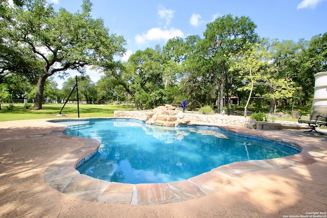 10020 Autumn Wood, Spring Branch, TX 78070 - swimming pool with a lawn and view of wooded area