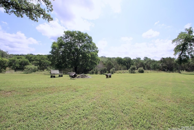 10020 Autumn Wood, Spring Branch, TX 78070 - view of grassy yard