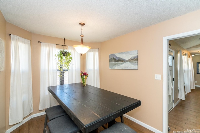 8013 County Road 128, Floresville, TX 78114 - dining room featuring wood finished floors, baseboards, and a textured ceiling
